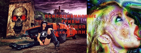 ALPHA PVP Медногорск