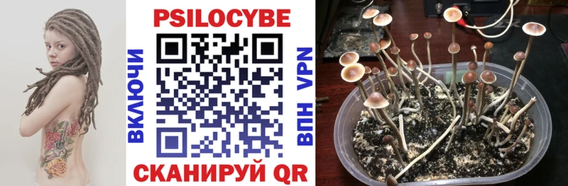 Псилоцибиновые грибы GOLDEN TEACHER  Купить  Череповец 